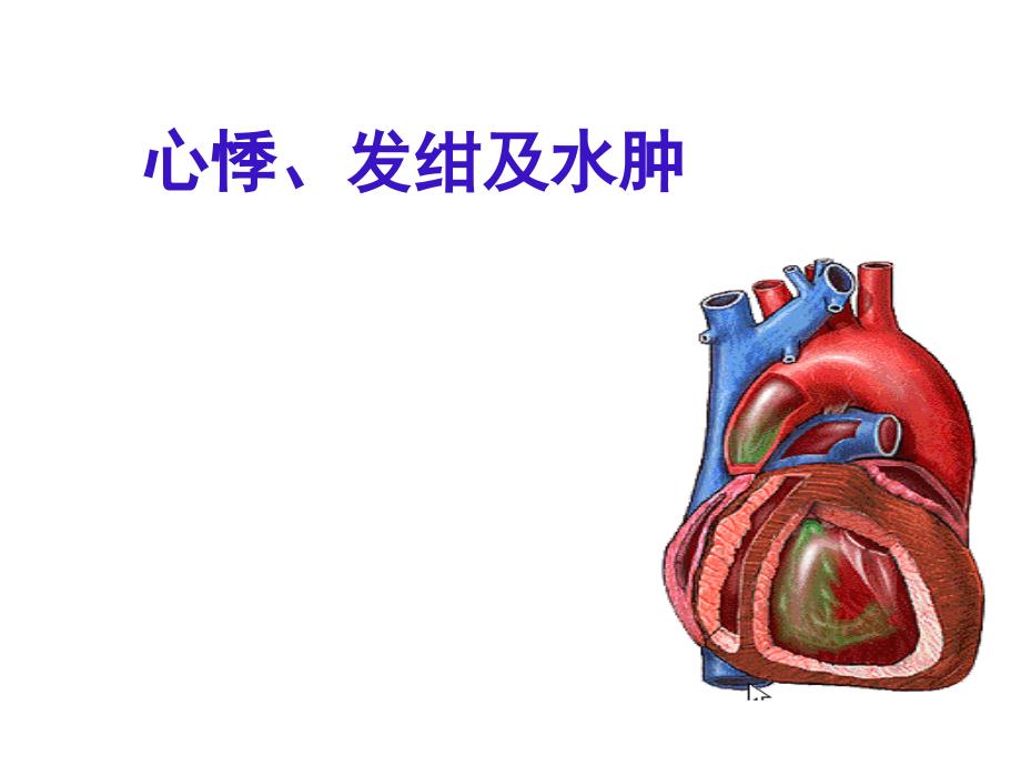 心悸发绀水肿ppt课件_第1页