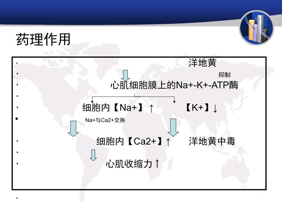 洋地黄ppt课件_第3页