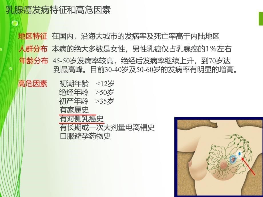 基因检测在预防乳腺癌卵巢癌中的应用ppt_第5页