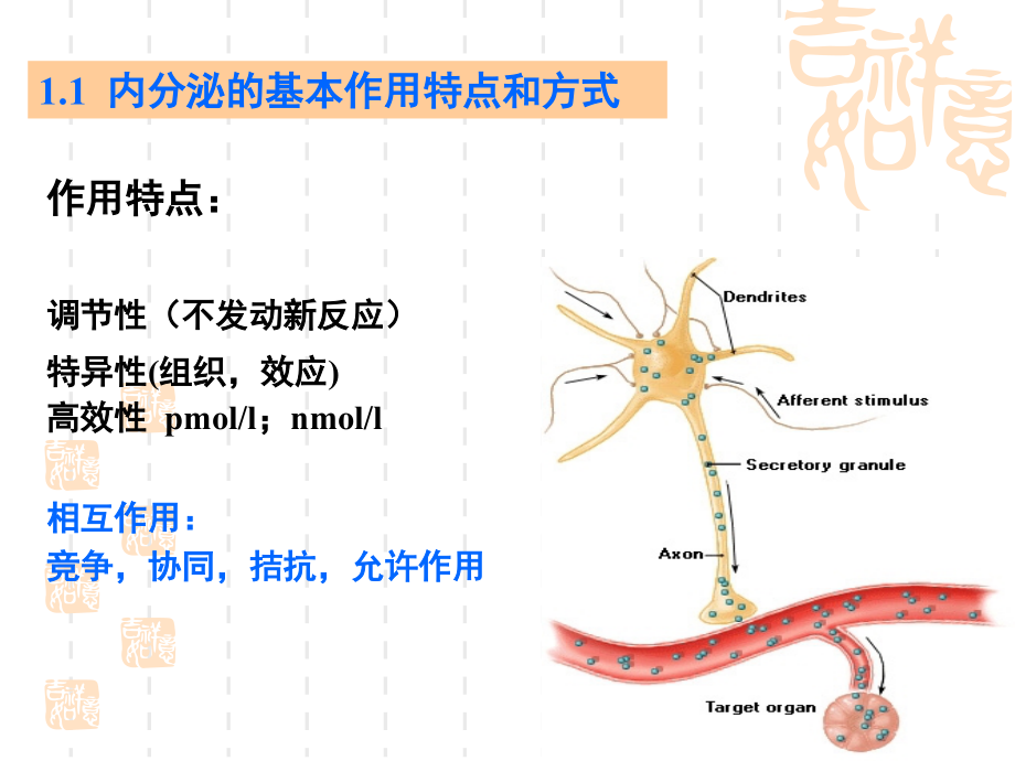 内分泌生理3ppt课件_第3页