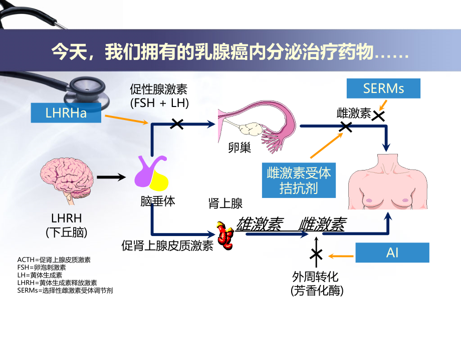 从指南变化解读内分泌治疗的重要性 ppt课件_第3页