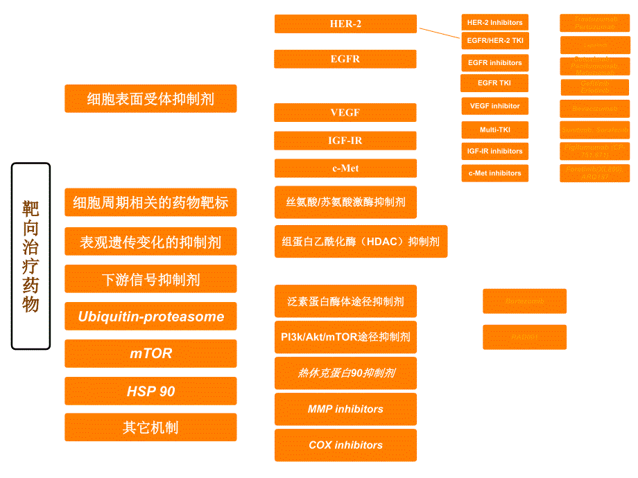 培训资料陆劲松乳腺癌靶向治疗临床成败与实践应用_第3页