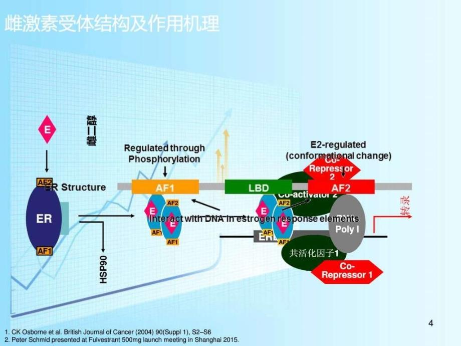 从药物机理看晚期乳腺癌内分泌治疗策略 ppt课件_图文.ppt_第4页