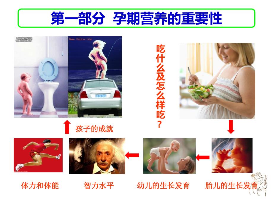 孕期营养与胎儿健康2015ppt课件_第2页