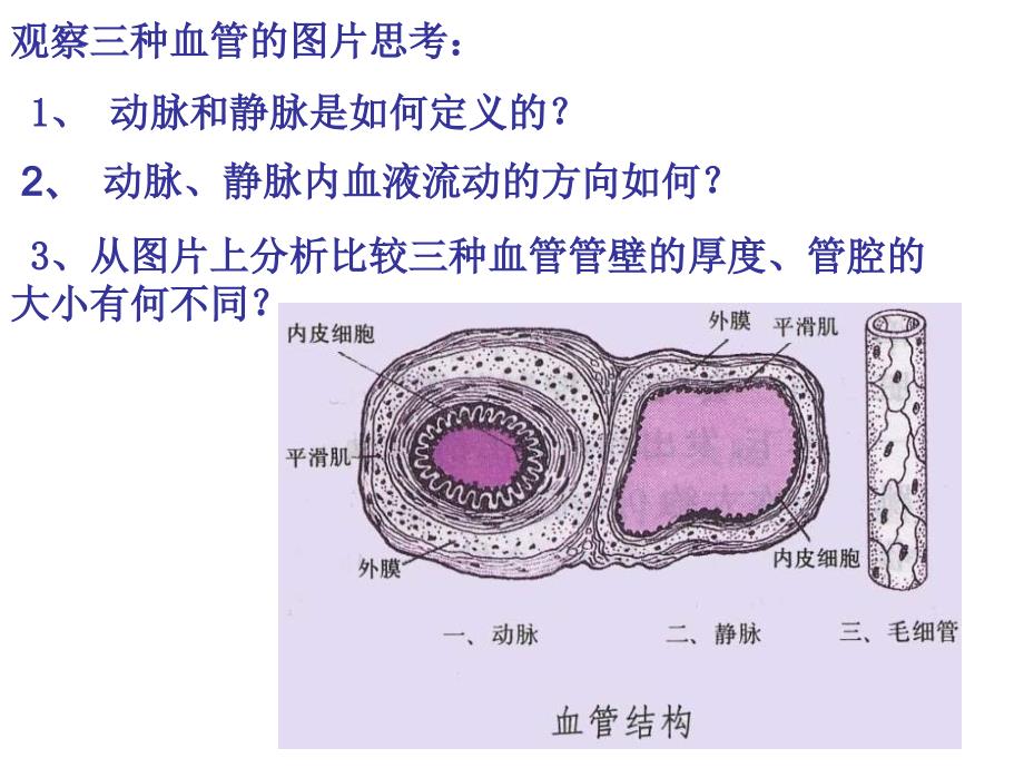 心脏和血液循环ppt课件_第4页