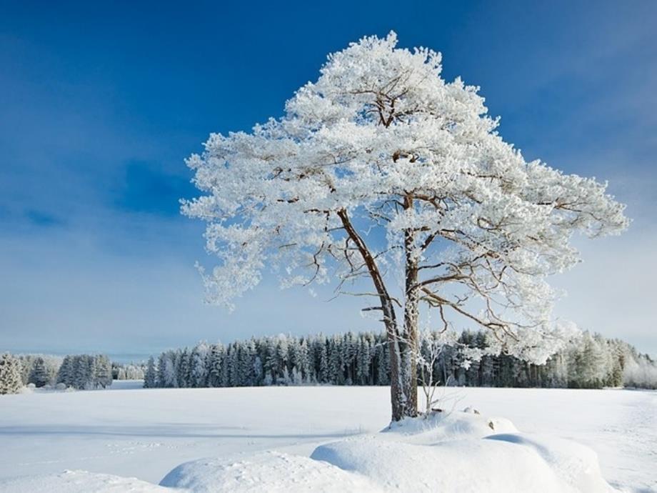 二年级音乐下册小雪橇课件_第2页