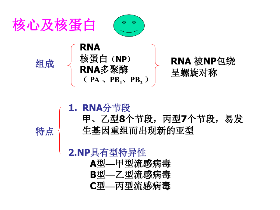 有包膜rna病毒ppt课件_第4页