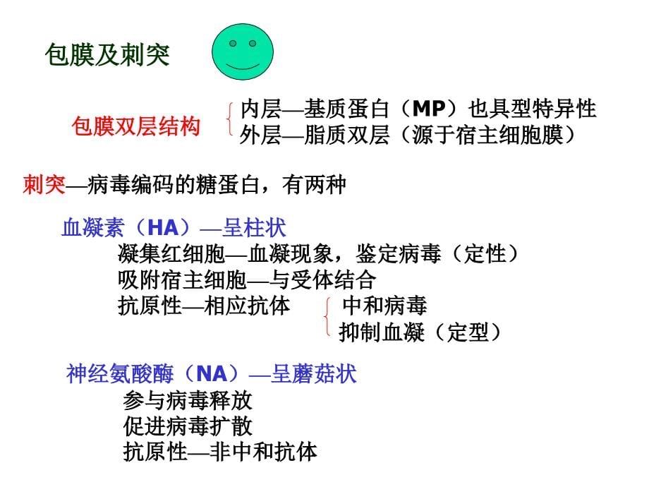 有包膜rna病毒ppt课件_第5页