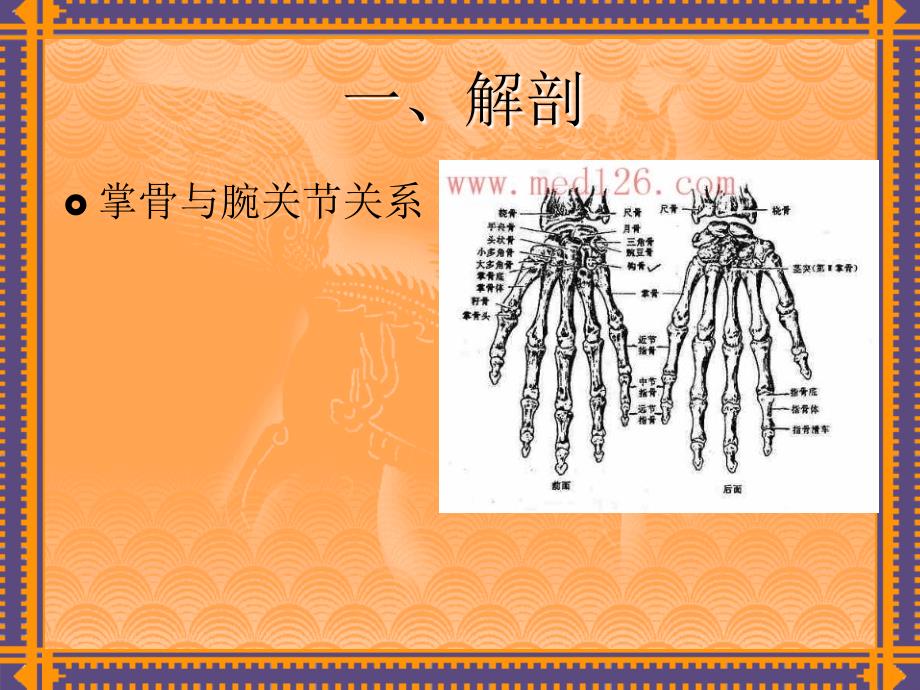 掌骨骨折演示文稿ppt课件_第4页