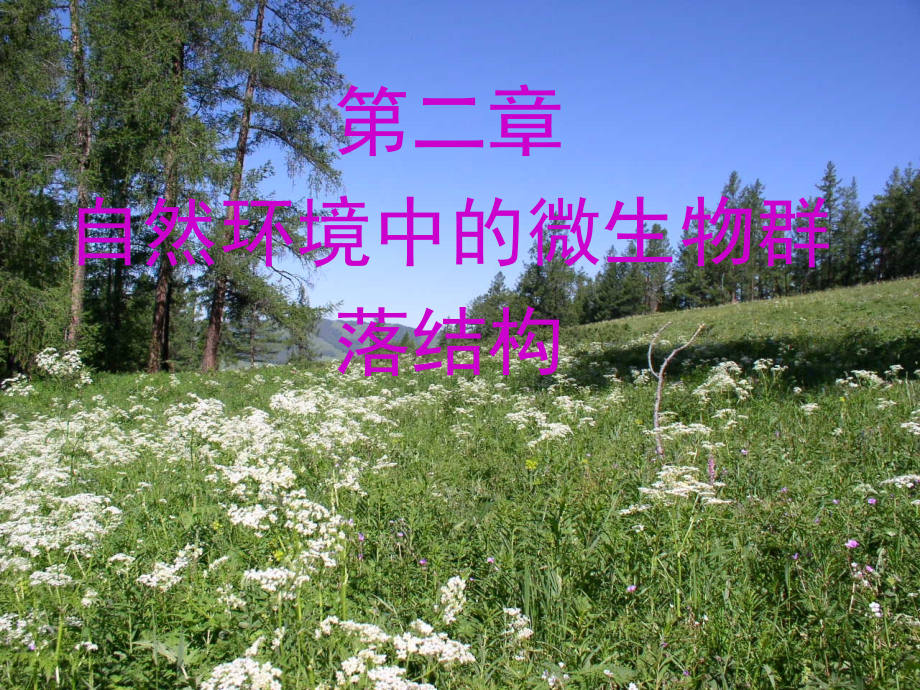 培训资料自然环境中微生物_第1页