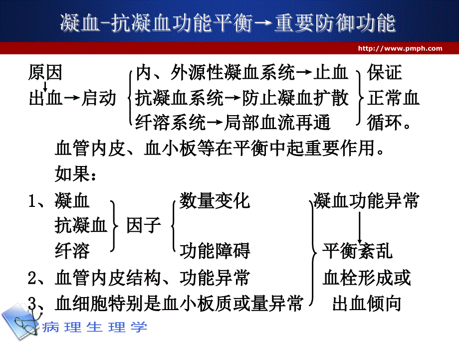 凝血和抗凝血平衡紊乱的病理生理机制 ppt课件_第3页