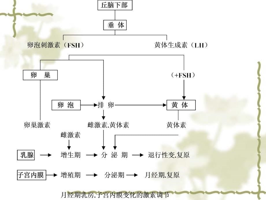 乳房疾病(中医).ppt_第5页