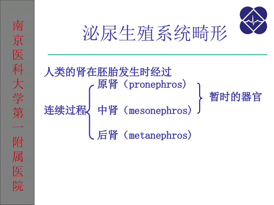 泌尿生殖系统畸形课件_第3页