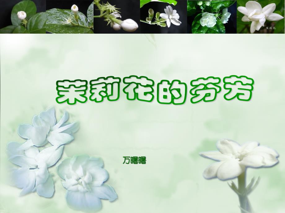 《茉莉花（二）课件》初中音乐苏少2011课标版七年级上册课件_第1页