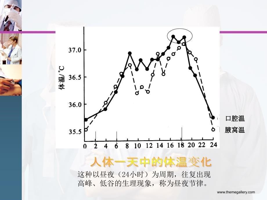 内环境的控制 ppt课件_第5页