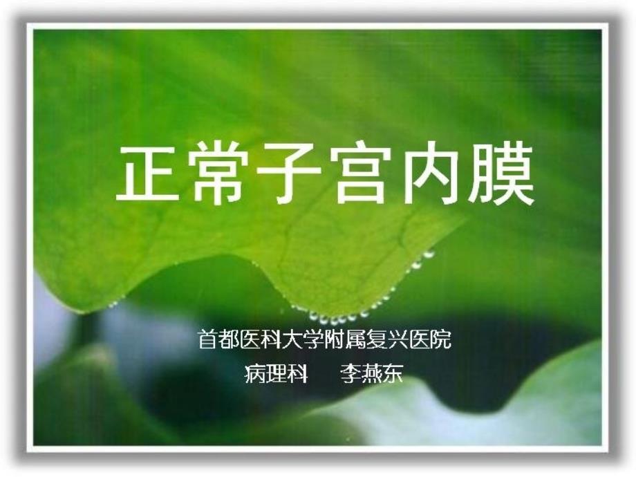 正常子宫内膜-课件（ppt-精）_第1页