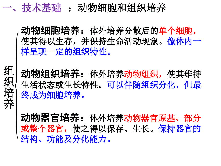 动物的克隆ppt课件_第3页