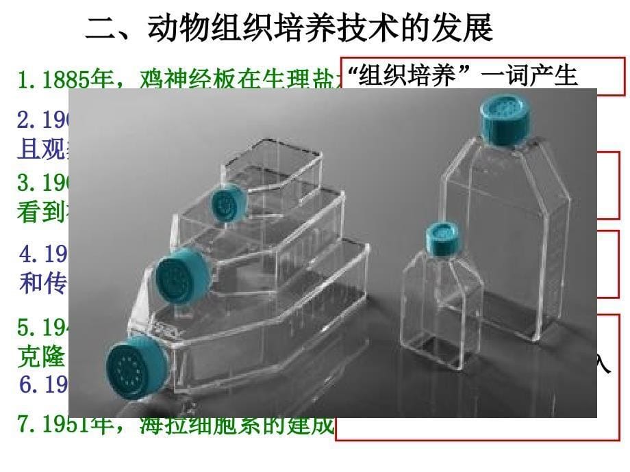 动物的克隆ppt课件_第5页