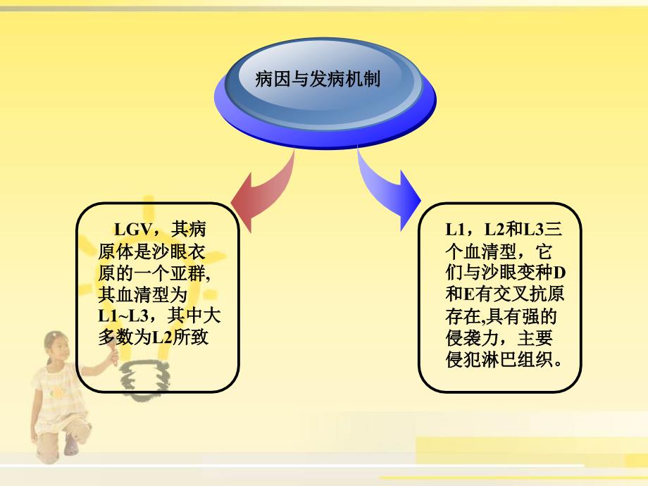 性病性淋巴肉芽肿ppt课件_第4页