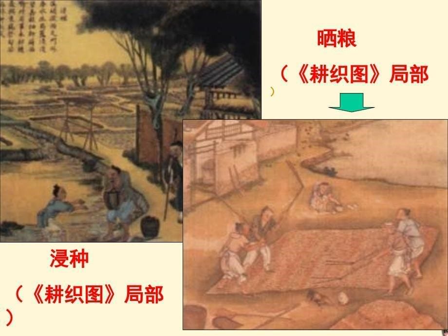 七年级历史下册_72《南方经济的发展》课件_川教版_第5页