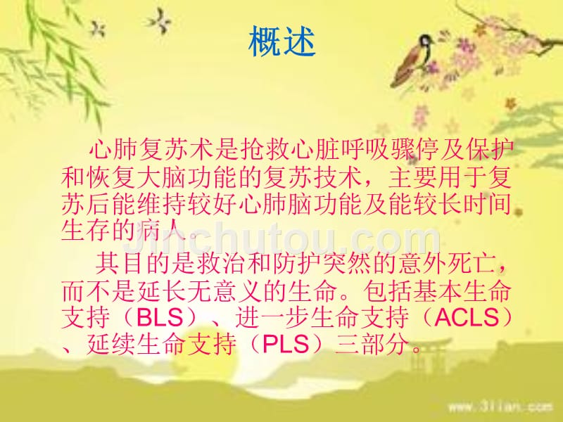 新心肺复苏术ppt课件_第2页