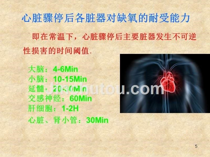 新心肺复苏术ppt课件_第5页