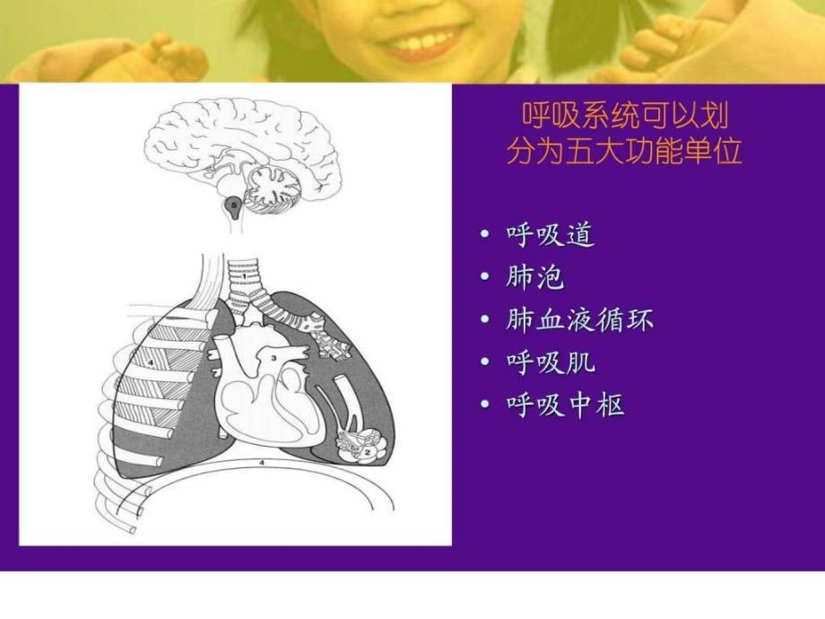 儿童呼吸道疾病ppt课件_图文.ppt_第4页