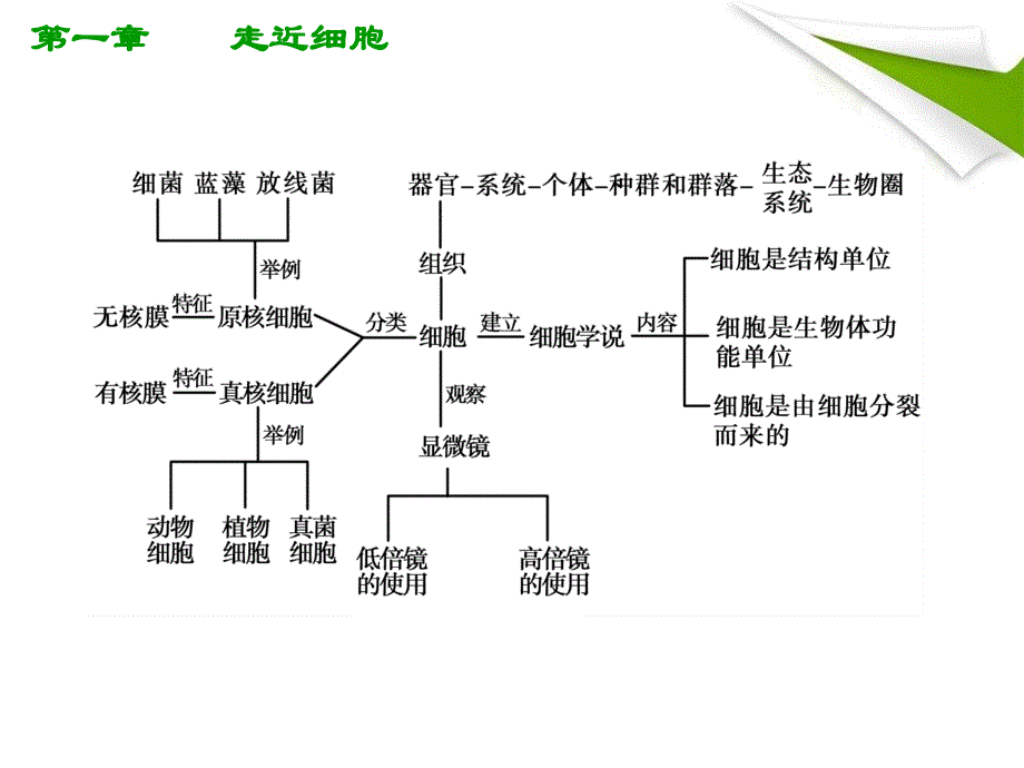 人教版教学2012高考生物总复习1《走近细胞》知识研习（新人教版必修1）（共25张）ppt课件_第2页