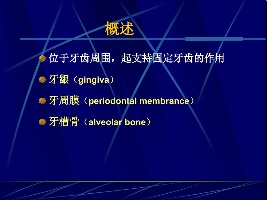 牙周组织ppt课件_第2页