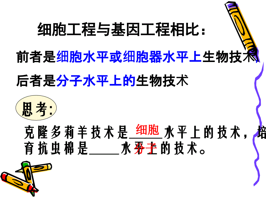 植物细胞工程选修3ppt课件_第2页