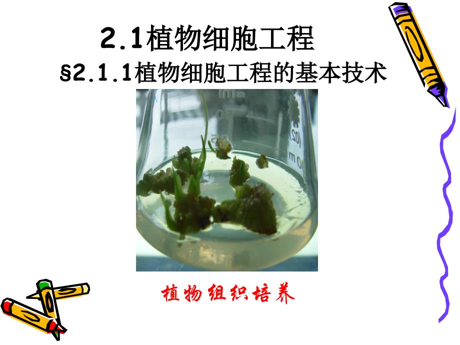 植物细胞工程选修3ppt课件_第3页