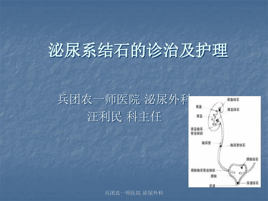 泌尿系结石诊治及护理ppt课件_第1页