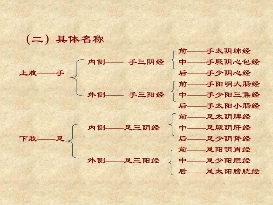 十五、经络学说1(中医与养生课件)_第5页