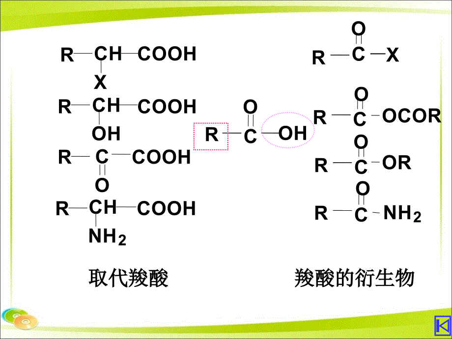 有机化学：羧酸衍生物_第2页