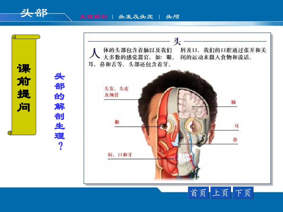 头面颈部评估ppt课件_第4页