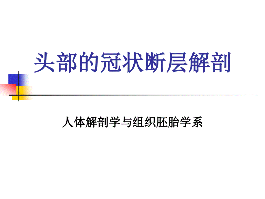 头部的冠状断层解剖09ppt课件_第1页