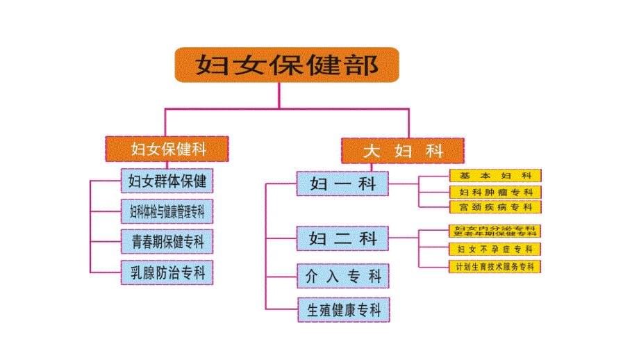 黄其美-基于学科体系绩效管理政策_第5页