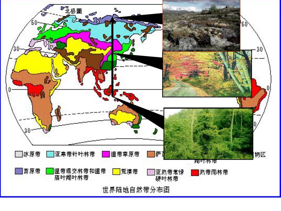 山地的垂直地域分异规律3_第4页