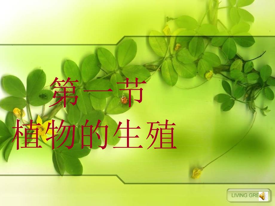 八年级生物：植物的有性生殖_第1页