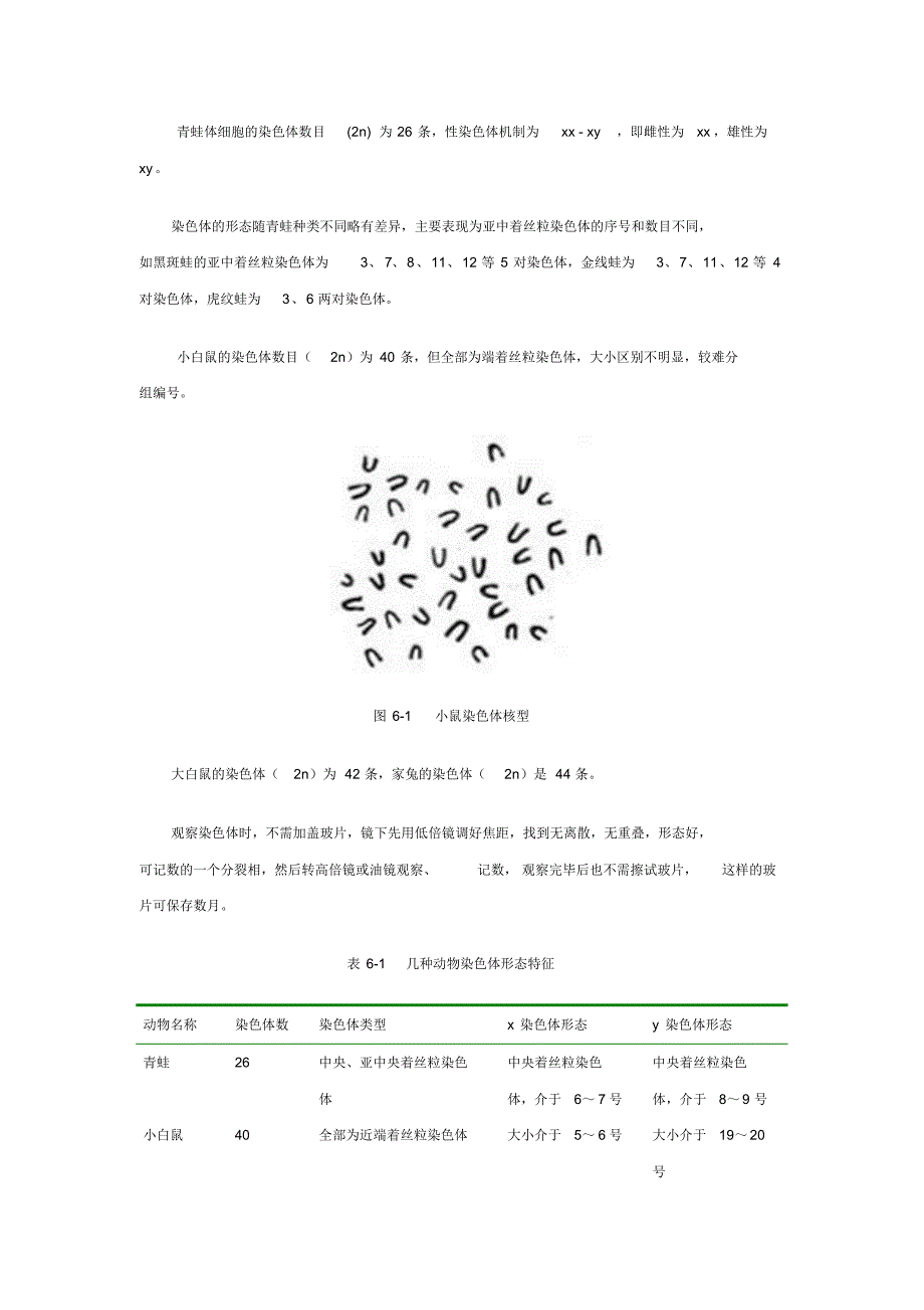 骨髓细胞染色体的制备与观察_第4页