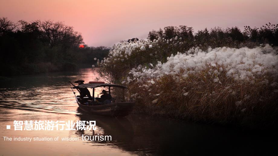 智慧旅游解决方案汇报_第3页