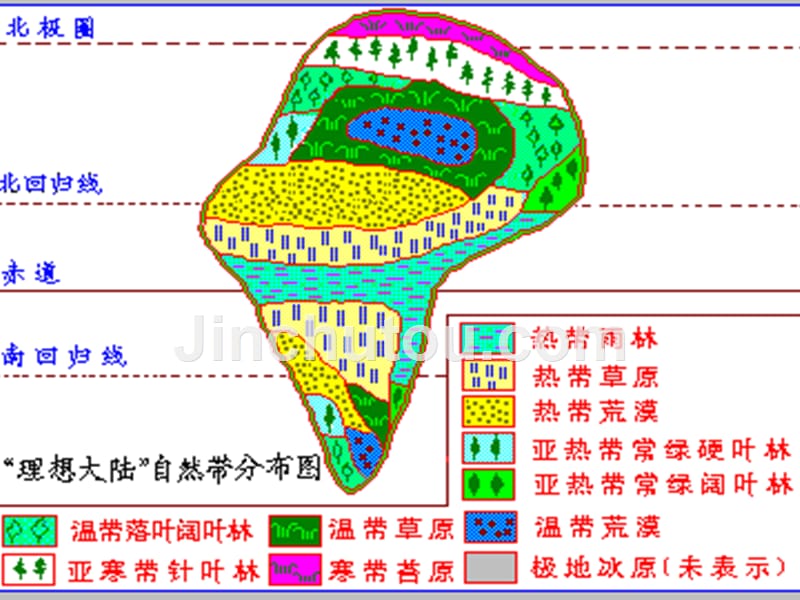 八年级地理：自然带_第4页