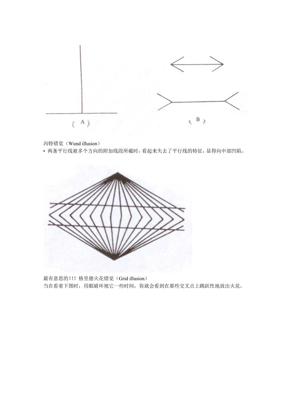 贾斯特罗错觉(lastraw illusion)延伸出来的心理学上的视觉错误。_第4页