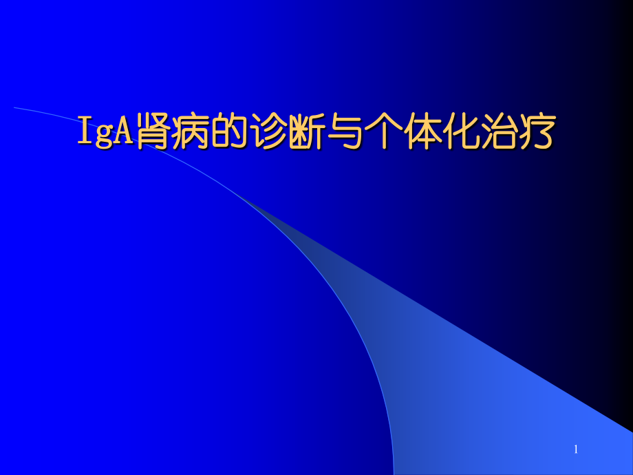 IgA肾病的诊断和个体化治疗ppt课件_第1页