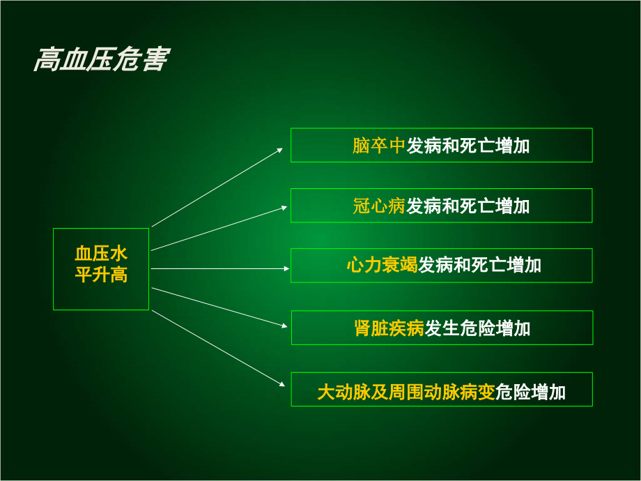 高血压诊疗与用药指导(第二版)_第3页