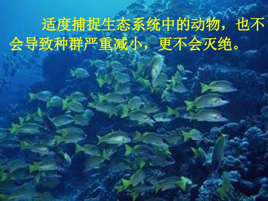 高二生物：生态系统稳定性_第3页