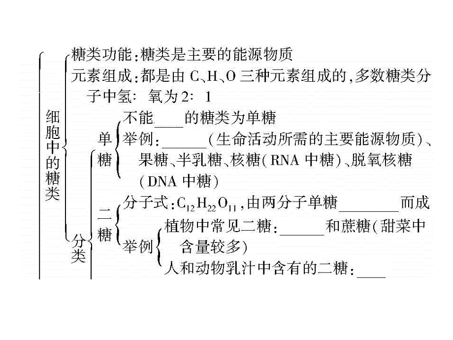 高三生物：细胞中的糖和脂肪专题复习_第4页