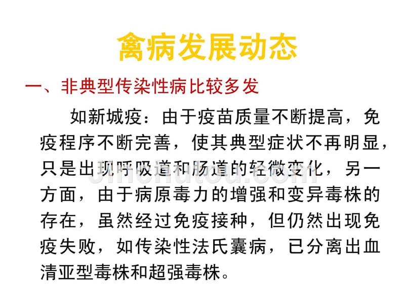 资料罕见鸡病防治 收费下载课件_第3页