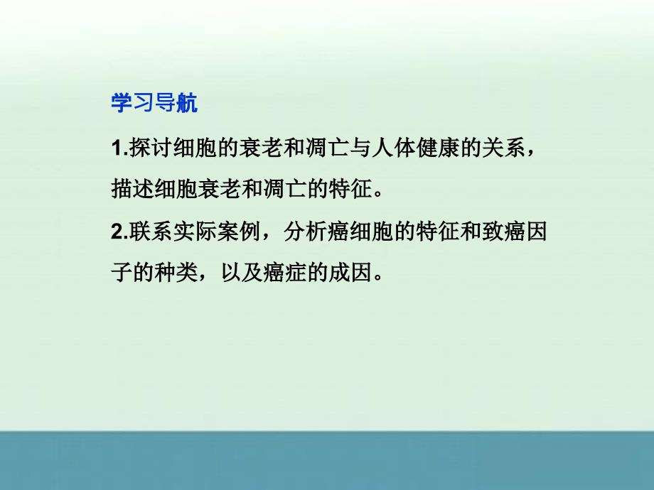 2013高一生物同步教材课件第六章第34节《细胞的衰老和凋亡细胞的癌变》（人民版必修1）_第2页