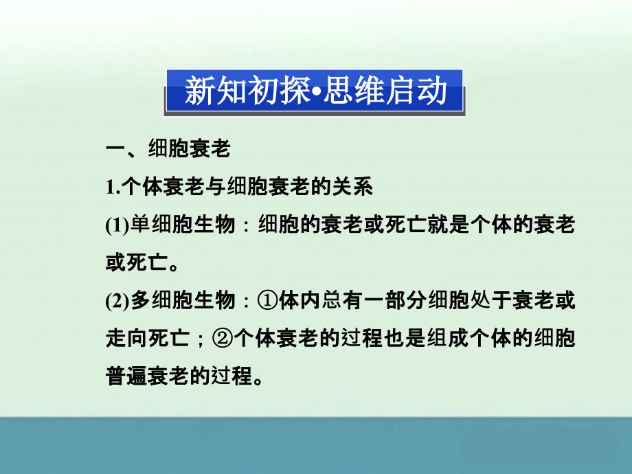 2013高一生物同步教材课件第六章第34节《细胞的衰老和凋亡细胞的癌变》（人民版必修1）_第3页